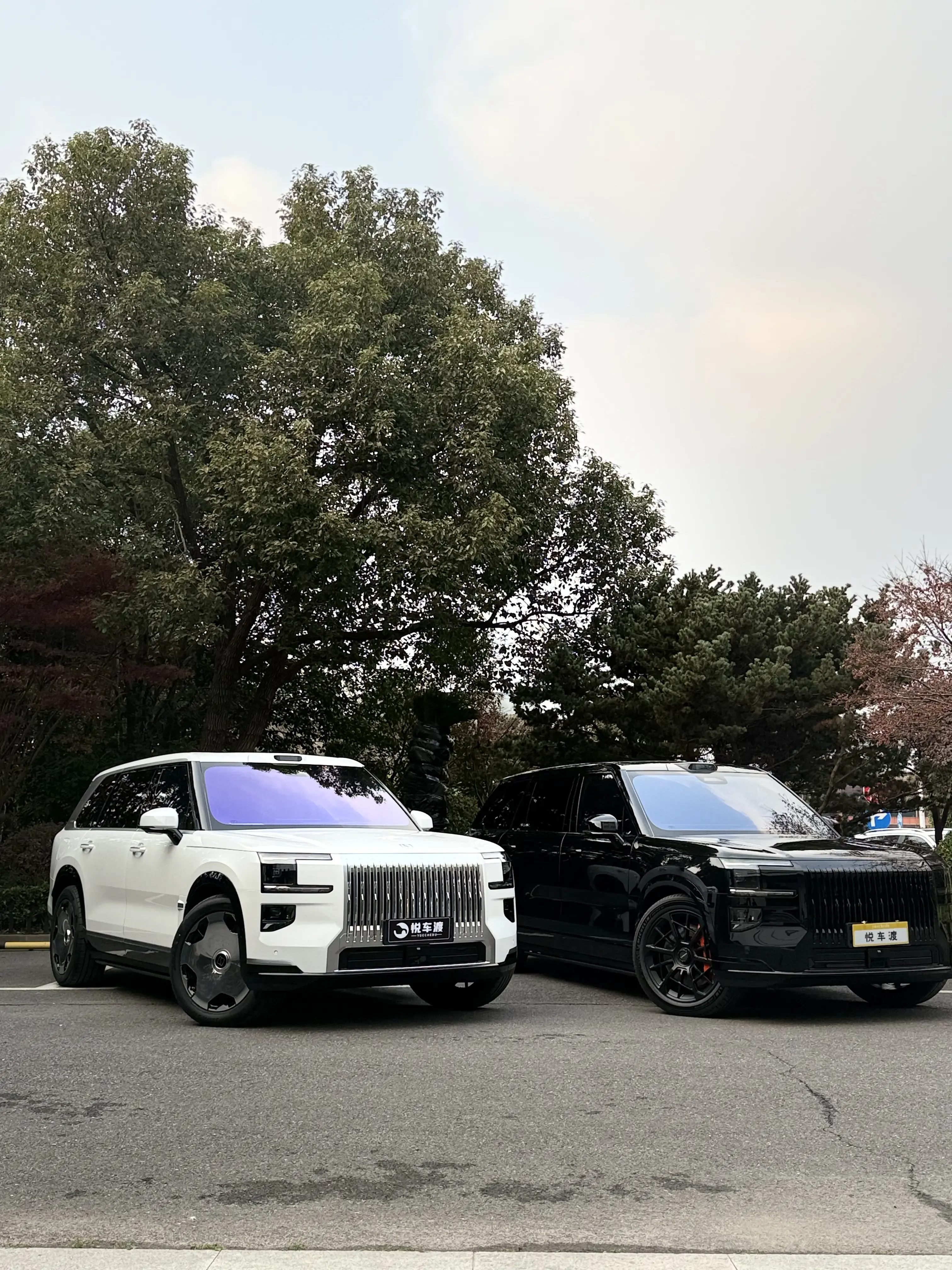 上海极氪极氪9X黑白极氪9X升级效果对比施工实拍图片4，悦车渡专业汽车改装升级，官方质保正品溯源