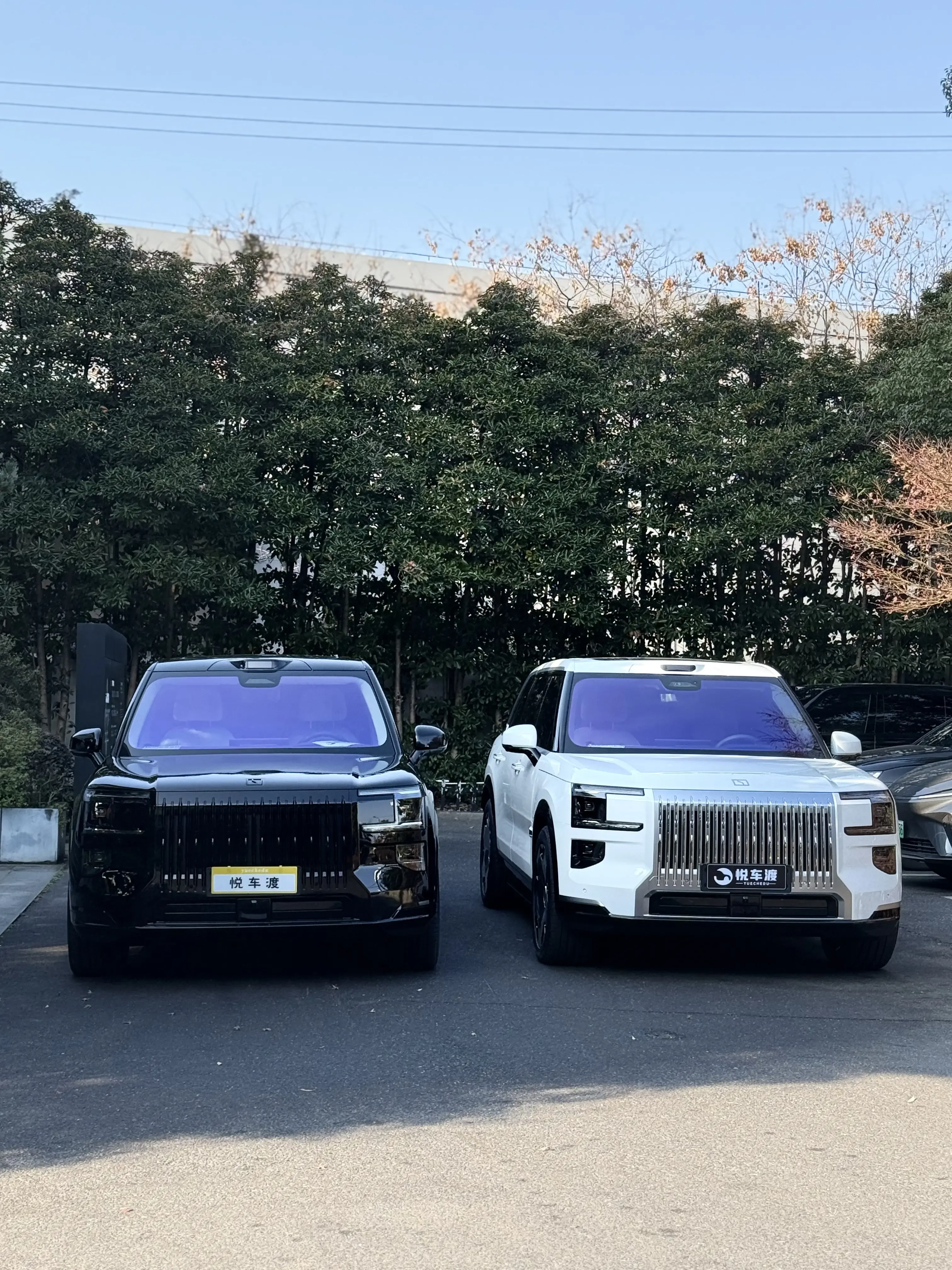 上海极氪极氪9X黑白极氪9X升级效果对比施工实拍图片3，悦车渡专业汽车改装升级，官方质保正品溯源