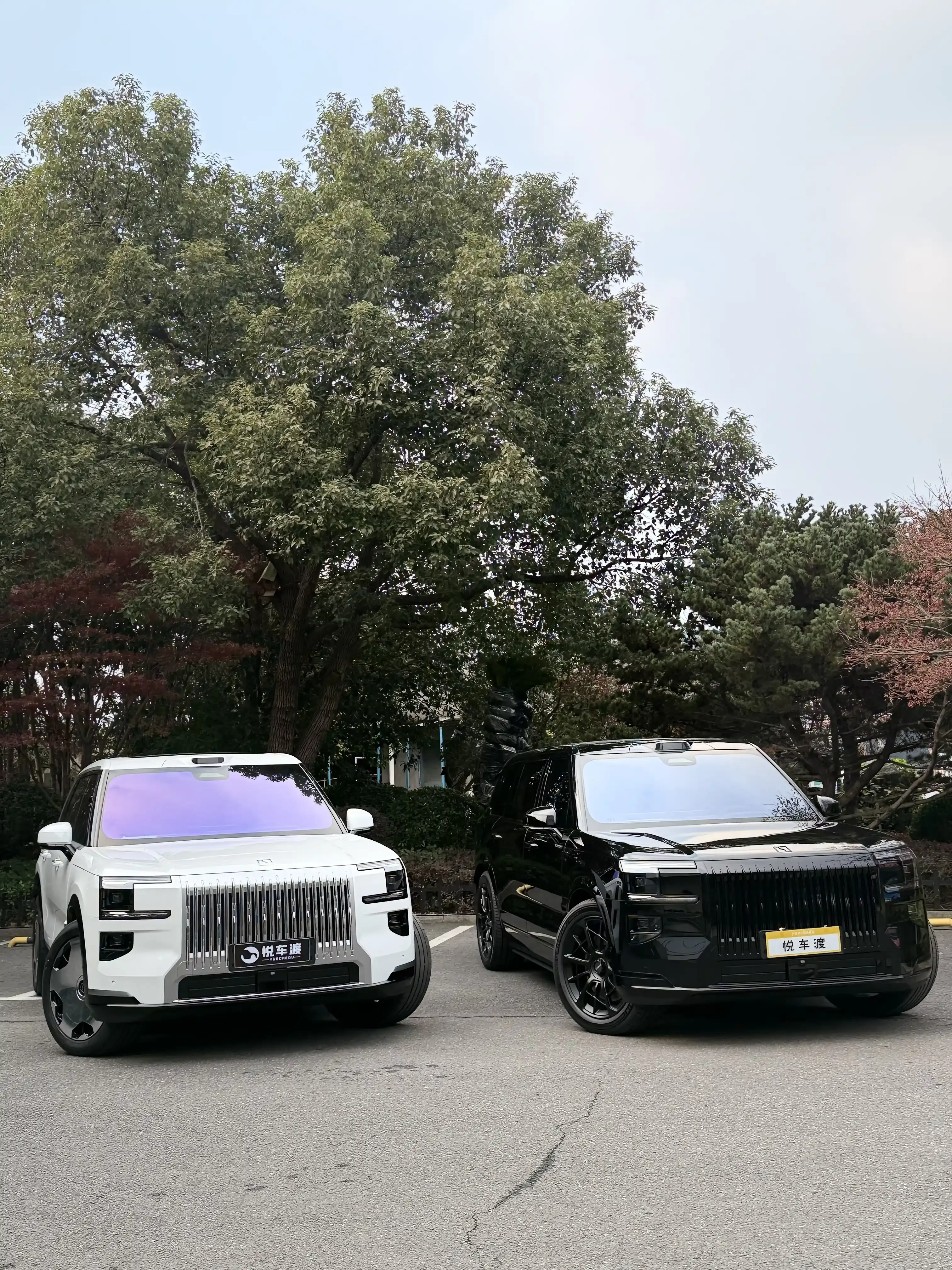 上海极氪极氪9X黑白极氪9X升级效果对比施工实拍图片6，悦车渡专业汽车改装升级，官方质保正品溯源